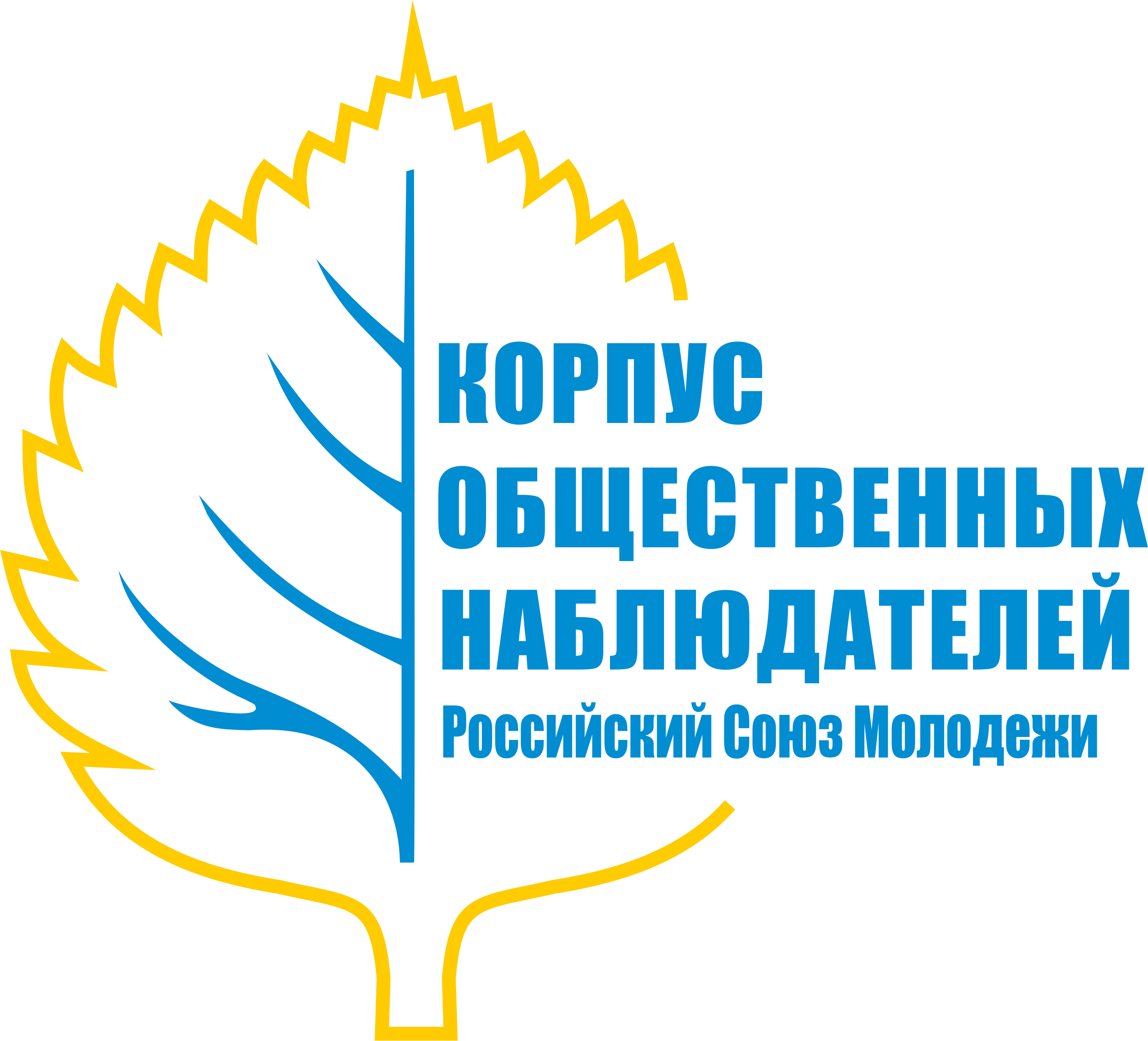 Корпус общественных наблюдателей